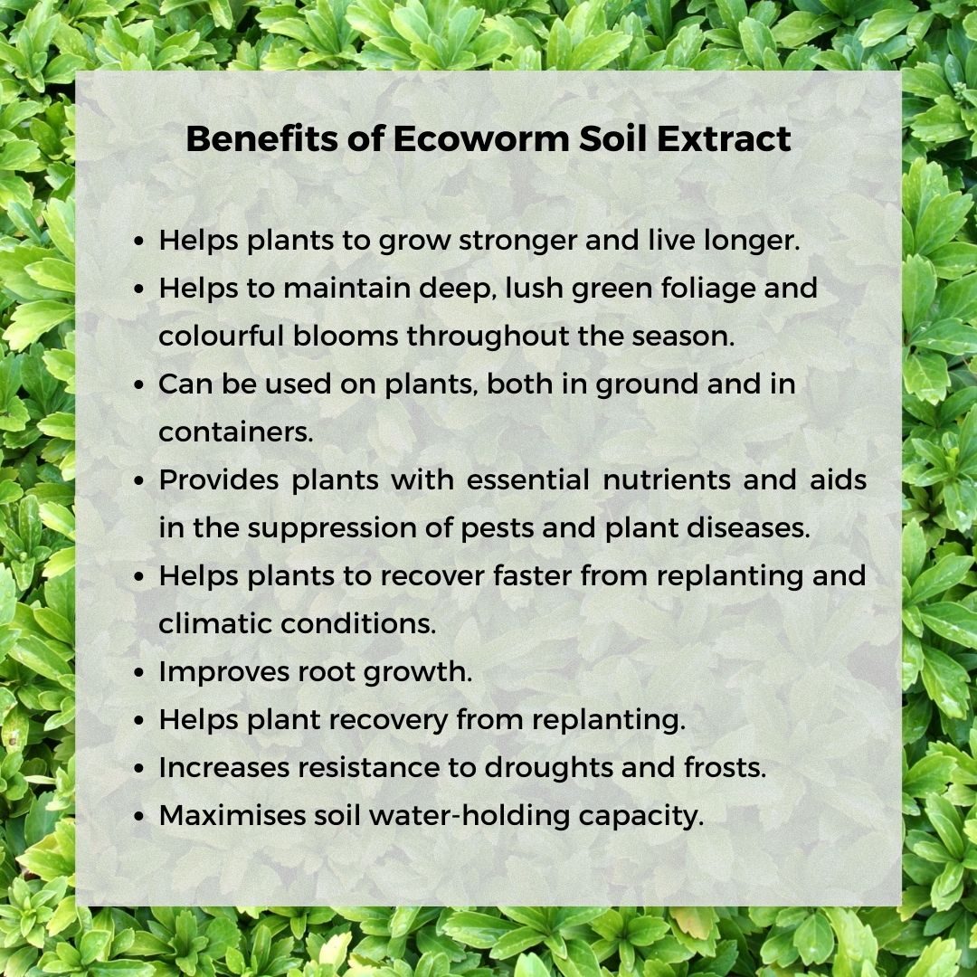 Ecoworm Soil Extract for Trees & Shrubs 1L (makes 200L)