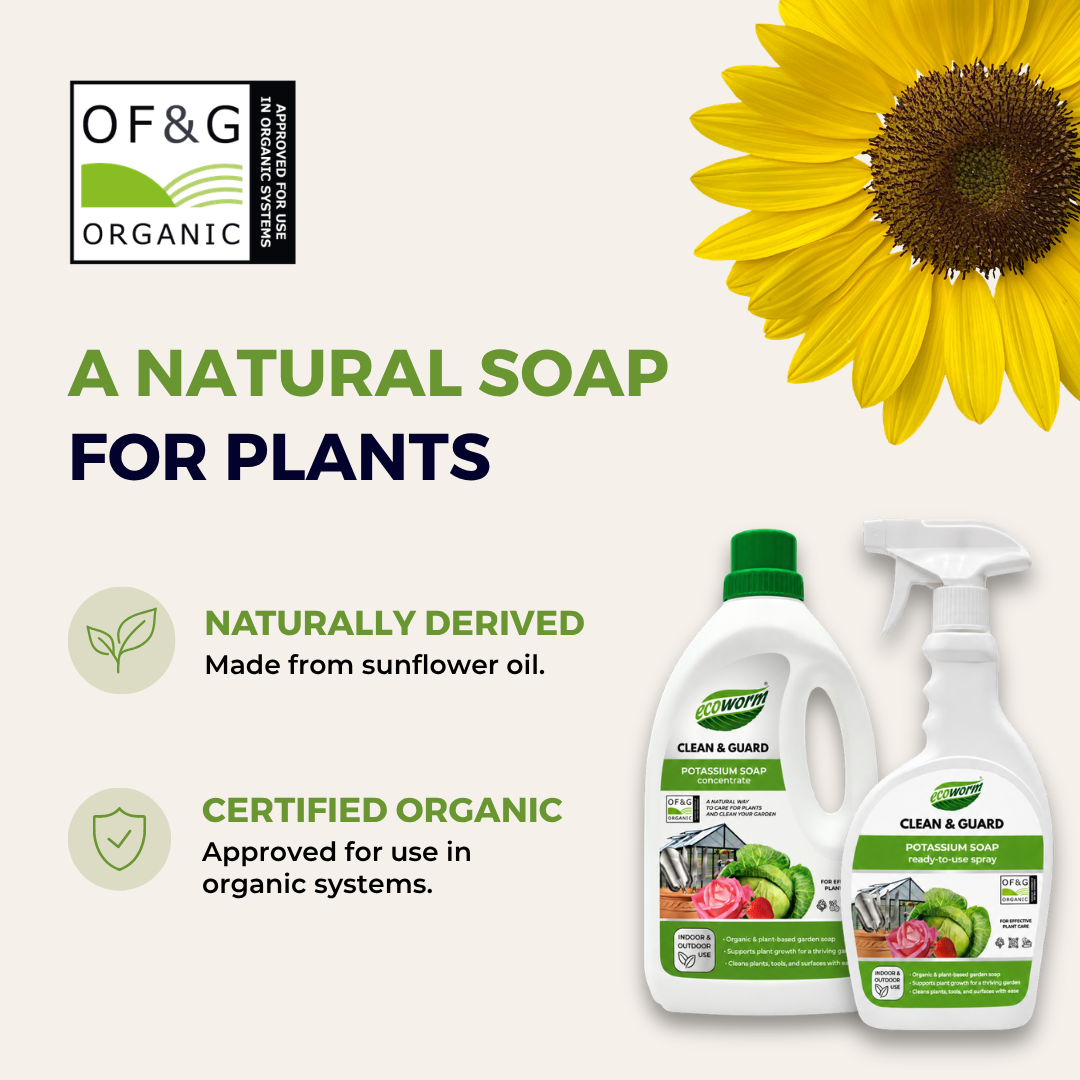 Ecoworm Potassium Soap Ready-to-use Spray 0.5L